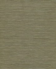 VS-10563-1-TANPP Kendrick6